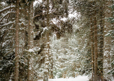 chemin de neige bolquère