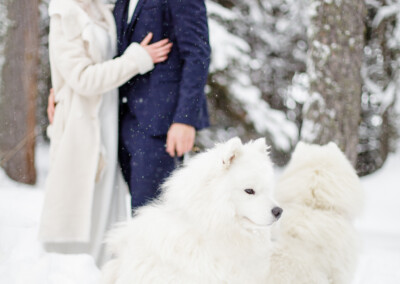 deux chiens dans la neige avec les mariés en arrière plan